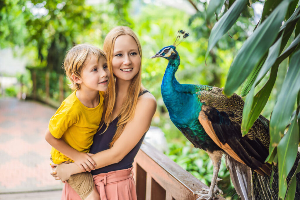 Kindvriendelijke activiteiten in Zeeland - Bezoek een dierentuin